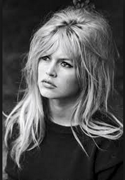 Brigitte Bardot Hair Inspo